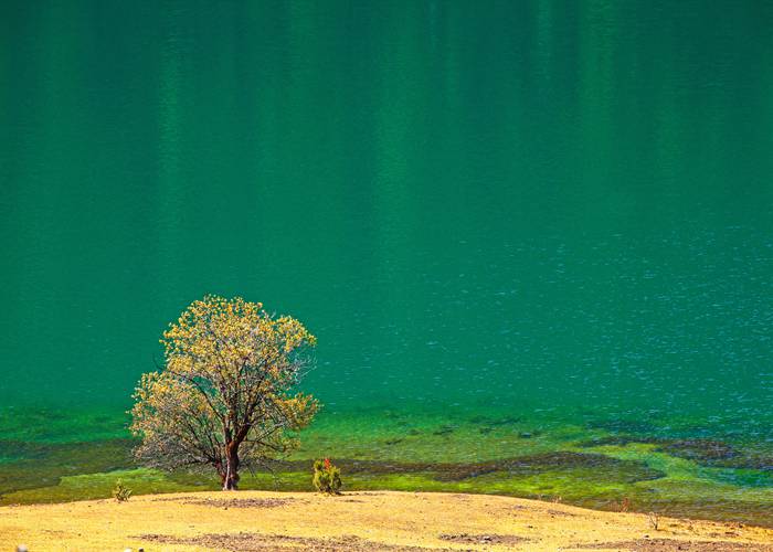 成都机场落地别傻等！这份接送攻略让你省下200块打车费-第2张图片-成都租车公司